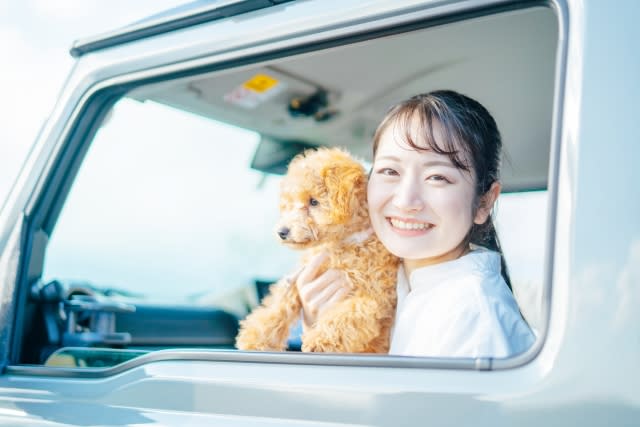 ペット タクシー