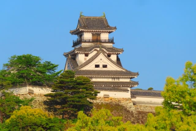 高知県 タクシー